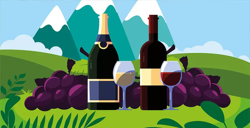 What is Lambrusco Wine?