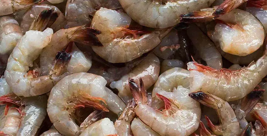 Why Do Shrimps Go Bad